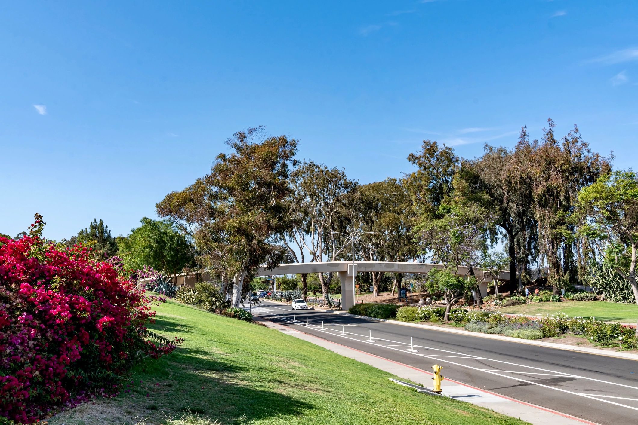 Harmony Grove Village neighborhood North County San Diego homes community